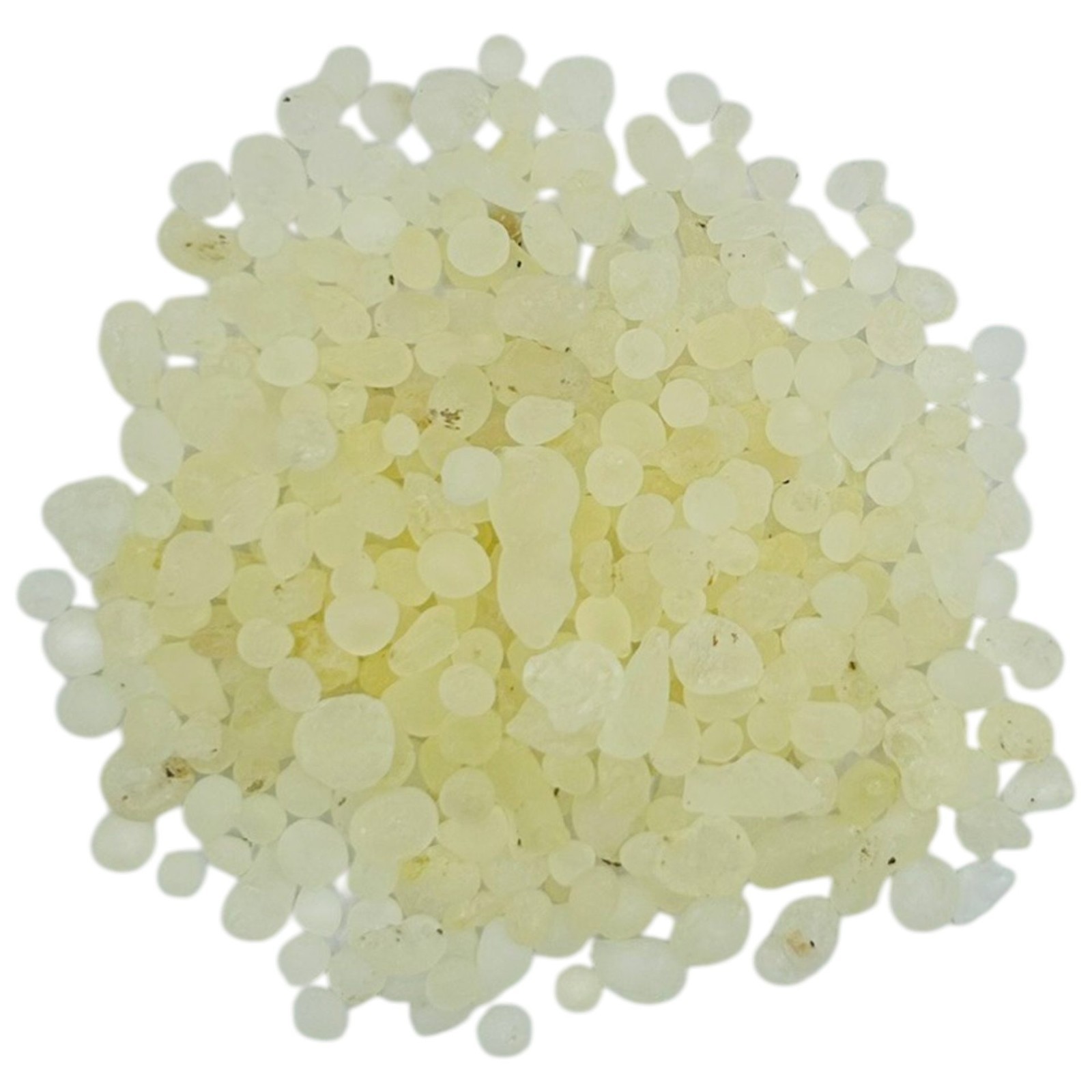 Authentic Chios Mastic Gum | Premium Greek Mastiha Resin | PDO Chios Mastic Tear