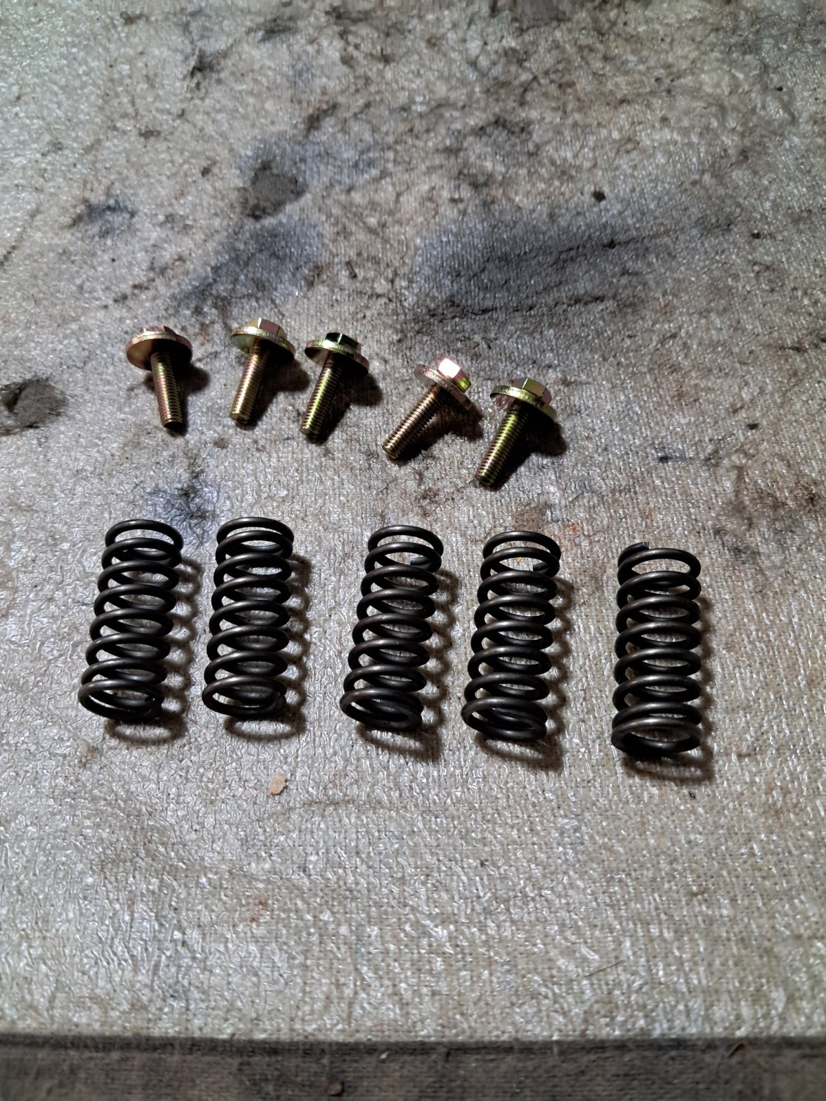 1988-2006 Yamaha Blaster Clutch Springs And Screws
