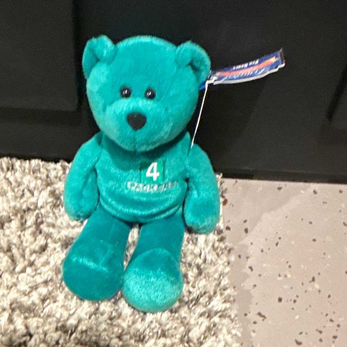 Chantilly Green Plush Bear Vintage 2004 Small (6-14 in) With Tags