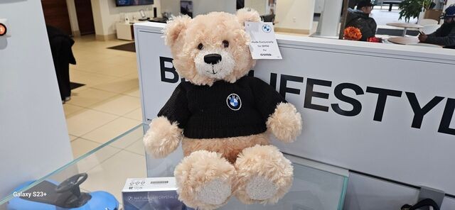 Genuine BMW BMW Honey Bear  80-90-5-A78-4B4