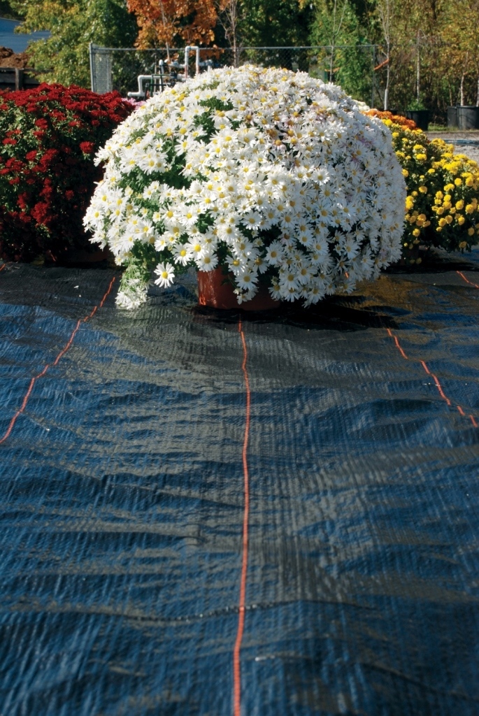 DeWitt 15 Year Ultra Web Weed Barrier Landscape Fabric 12\'x300\' Roll FOLDED DeWitt 15 Year Ultra Web Weed Barrier Landscape Fabric 12\'x300\' Roll FOLDED