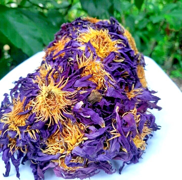 130g Dried Blue Lotus Flower Nymphaea Caerulea Natural Hand Picked Flower Herbal