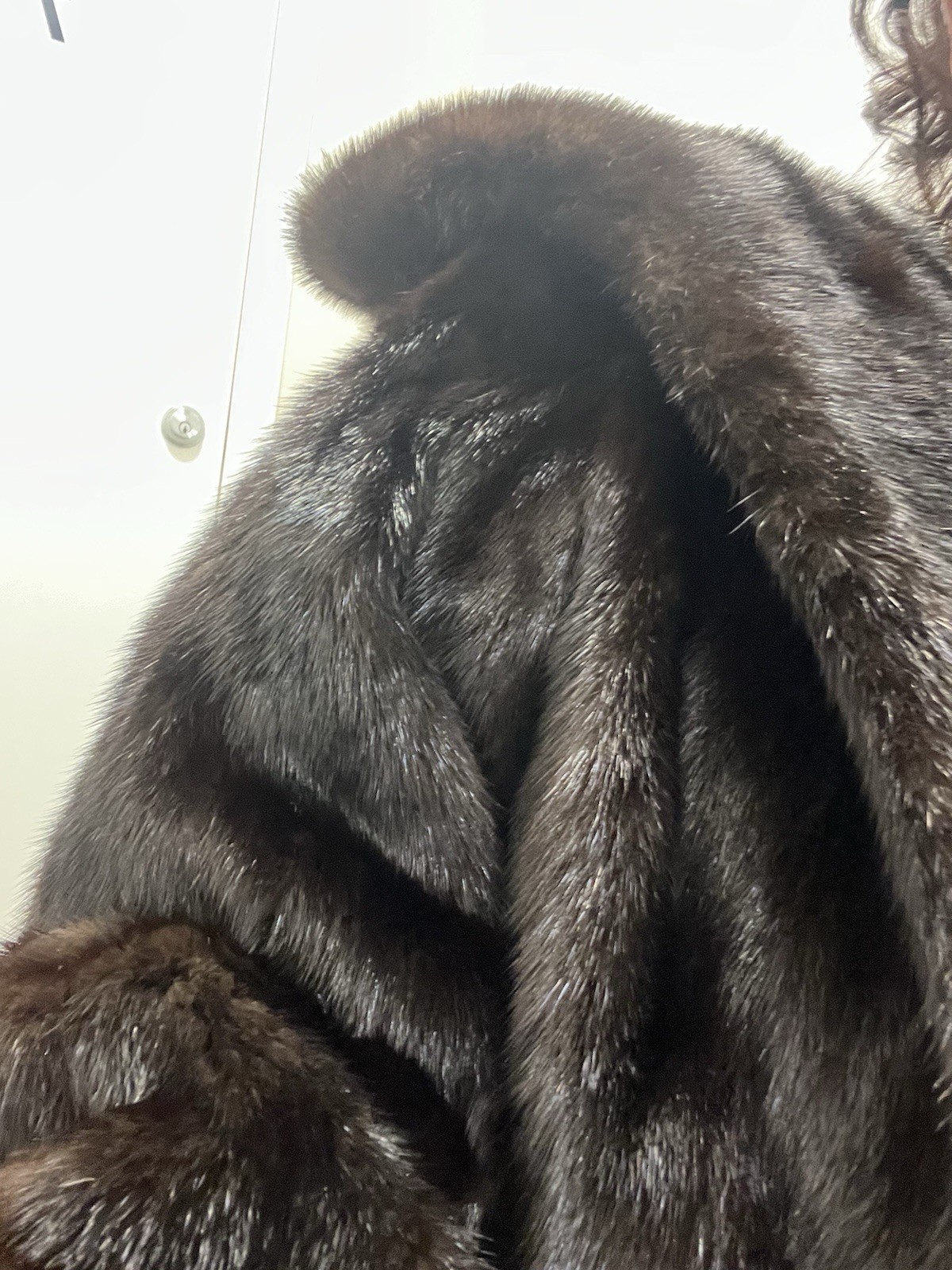 Ravishing Vintage Robert’s Of San Francisco Mink Fur Coat