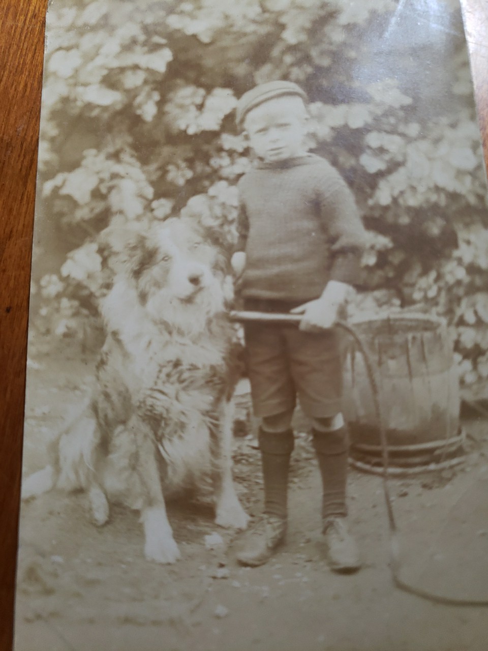 Antique 1910s Edwardian RPPC Photo Postcard Boy Collie Dog Wimbledon London