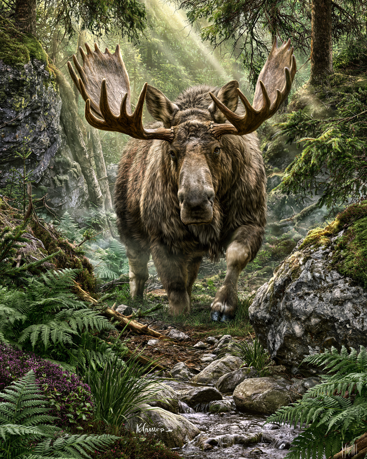 Moose Walking Through Sunlit Forest Stream Print - 782157943