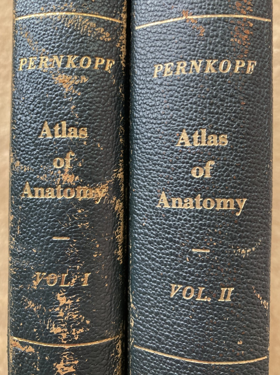 Pernkopf\'s ATLAS OF ANATOMY (2 Volume Set, 1963-64 ; 1st English Edition)