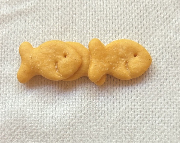 Rare Conjoined School Of 3 Goldfish Crackers Manufacturing Error Rare Conjoined School Of 3 Goldfish Crackers Manufacturing Error