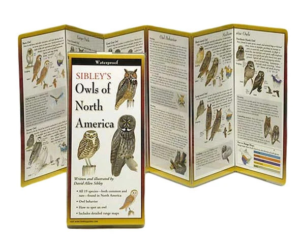 Sibley\'s Owls of North America