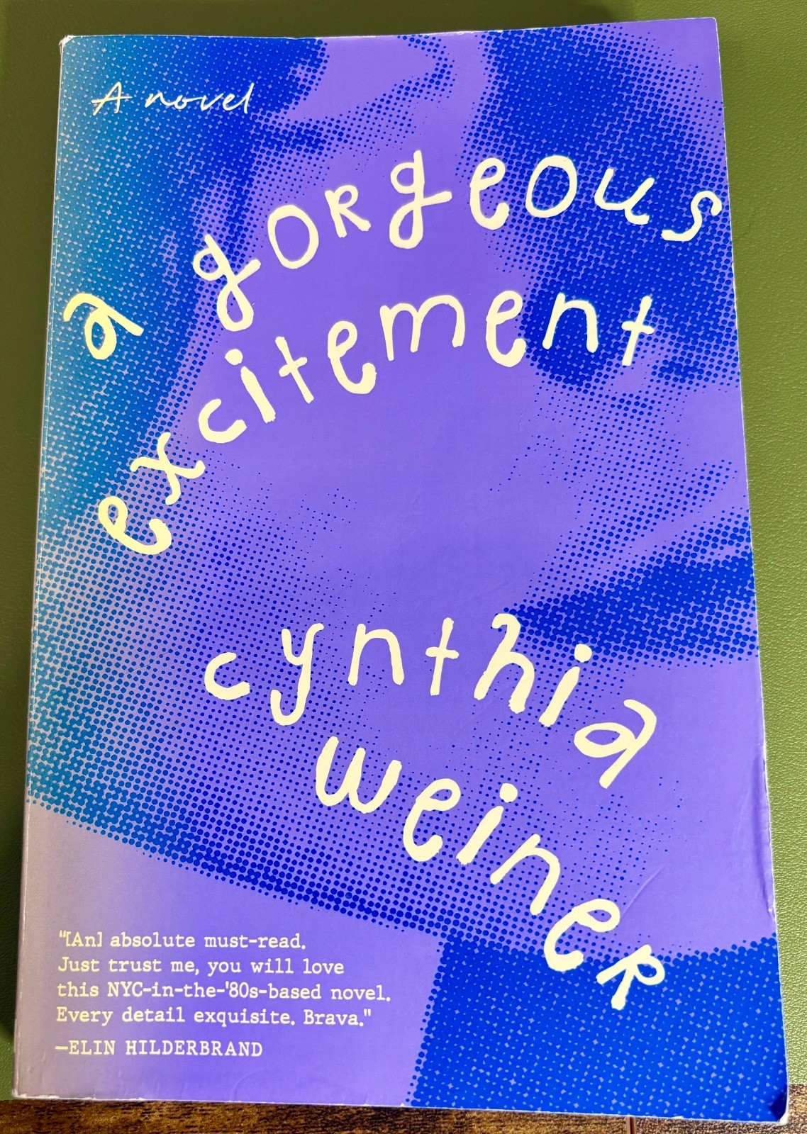 A Gorgeous Excitement by Cynthia Weiner Paperback Novel Excellent Condition