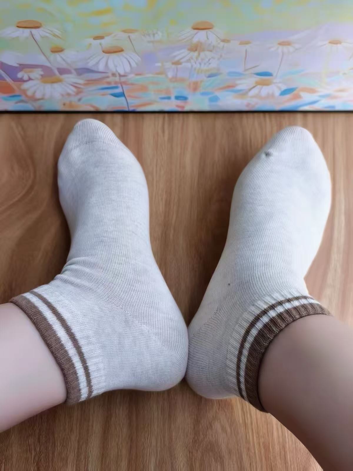 Womens All-Purpose Ankles Sock (2 Pairs) Size Medium 8-10.5 Womens All-Purpose Ankles Sock (2 Pairs) Size Medium 8-10.5