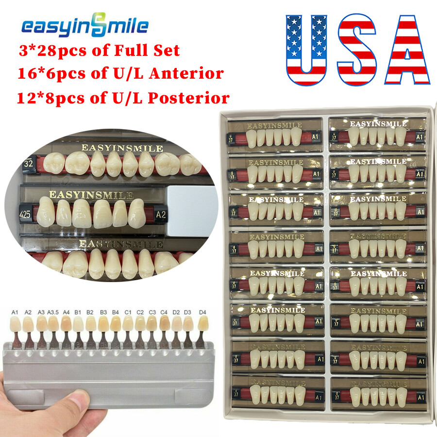 84/96Pc Dental Acrylic Resin Teeth Upper Lower Denture False Teeth DIY A1/A2/A3