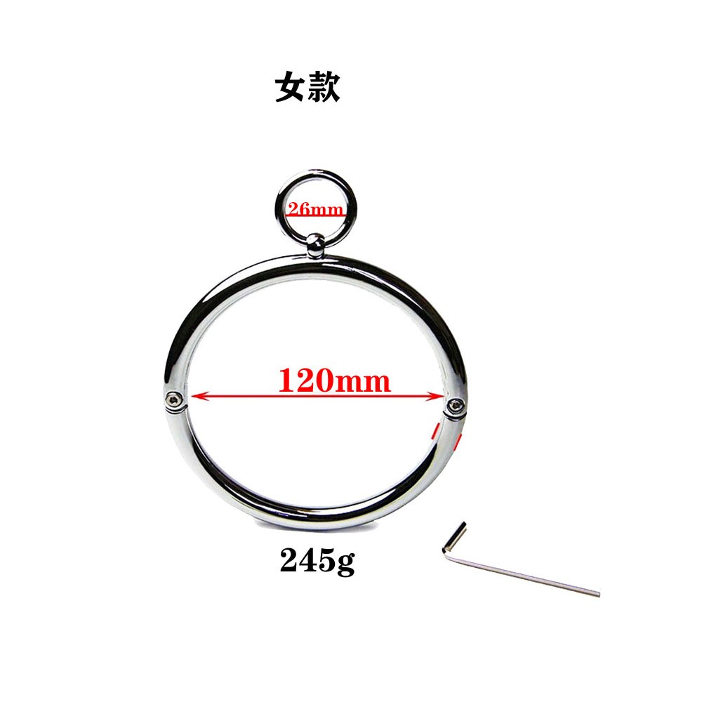 Metal O-Ring Neck Collar Choker BDSM Bondage Lockable Device for Adult Women Men