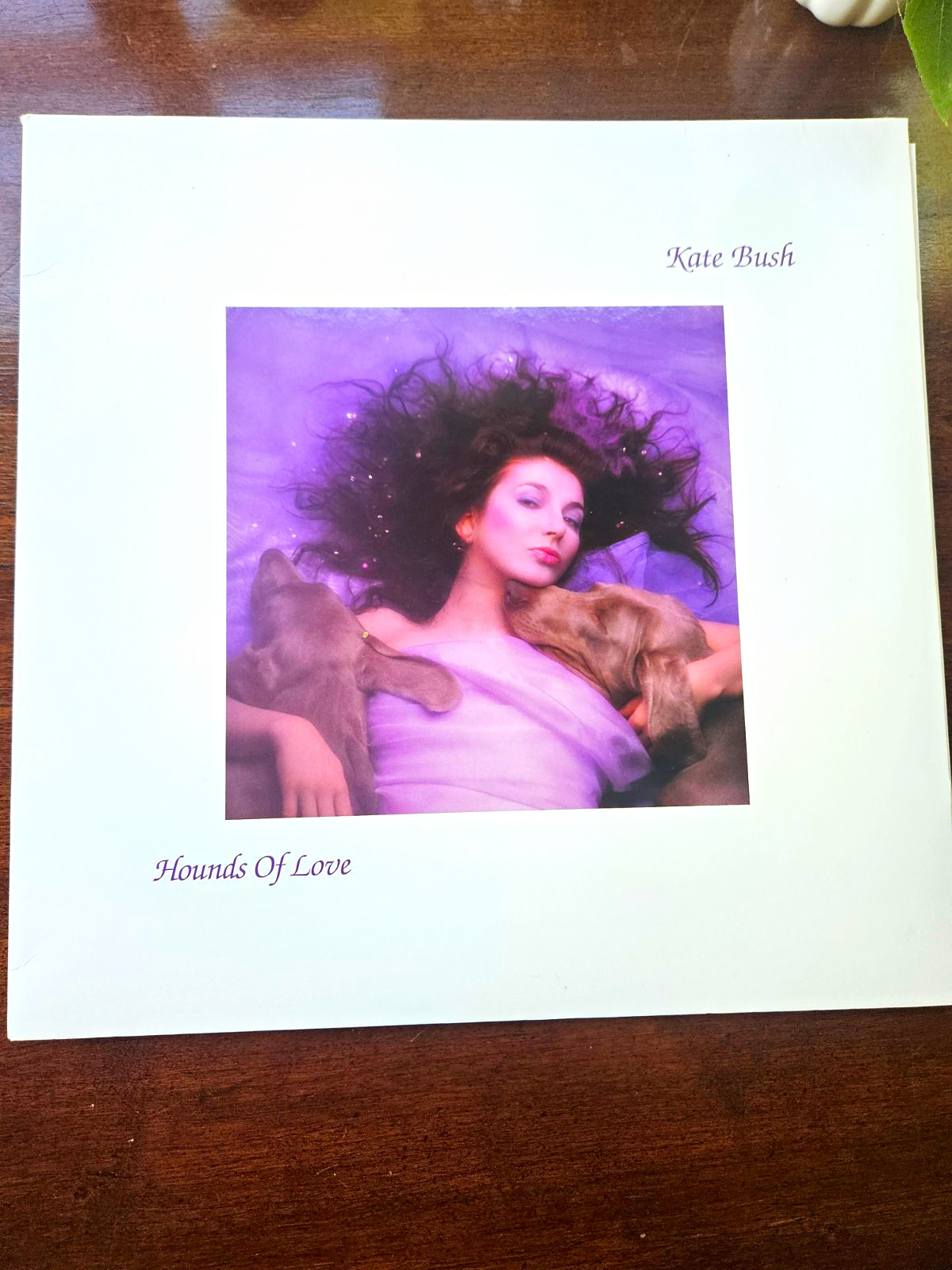 Kate Bush Hounds Of Love 12\