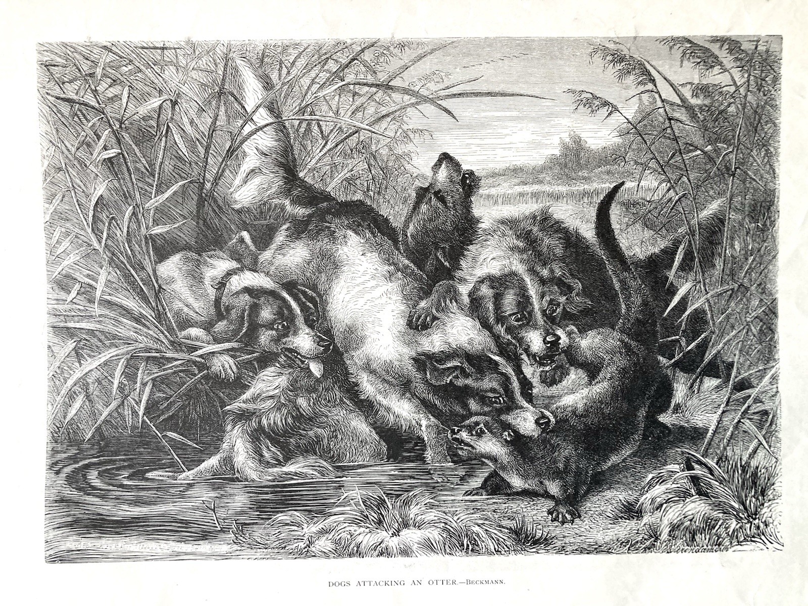 The Aldine, Typographic Art Journal, Full Year, 1871, Victorian Culture, Illus.