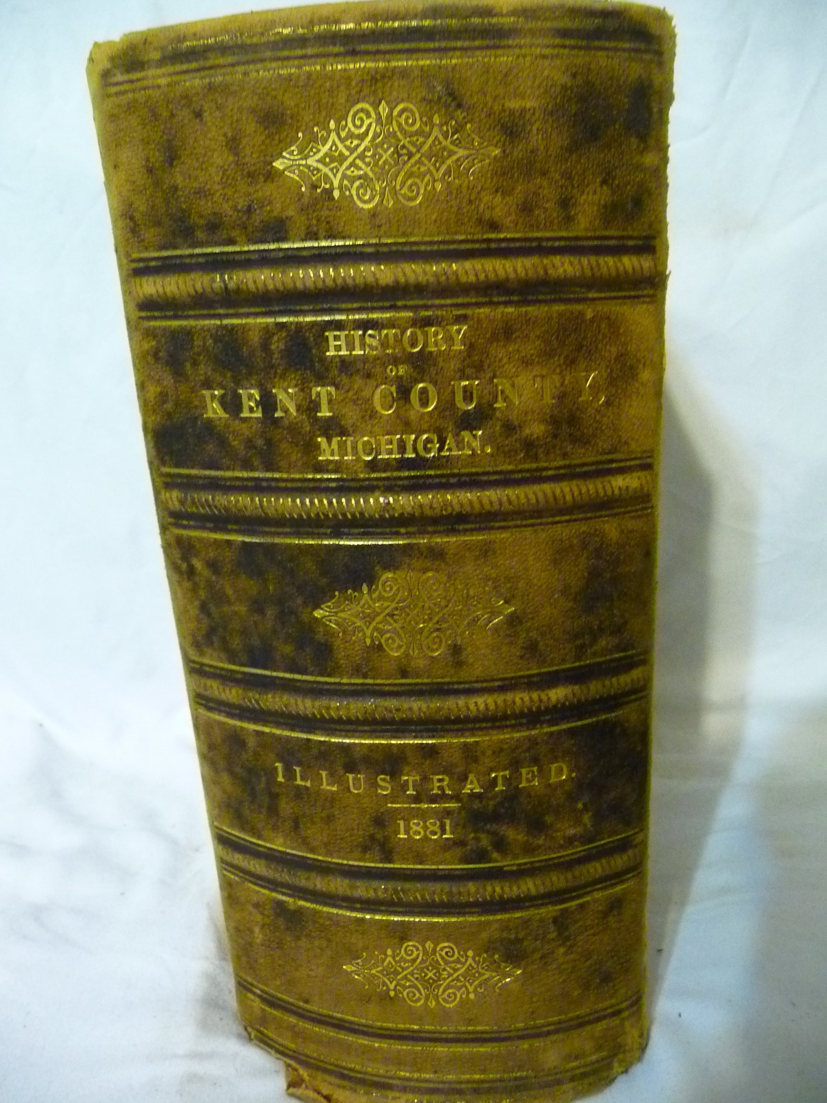 Rare 1881 \