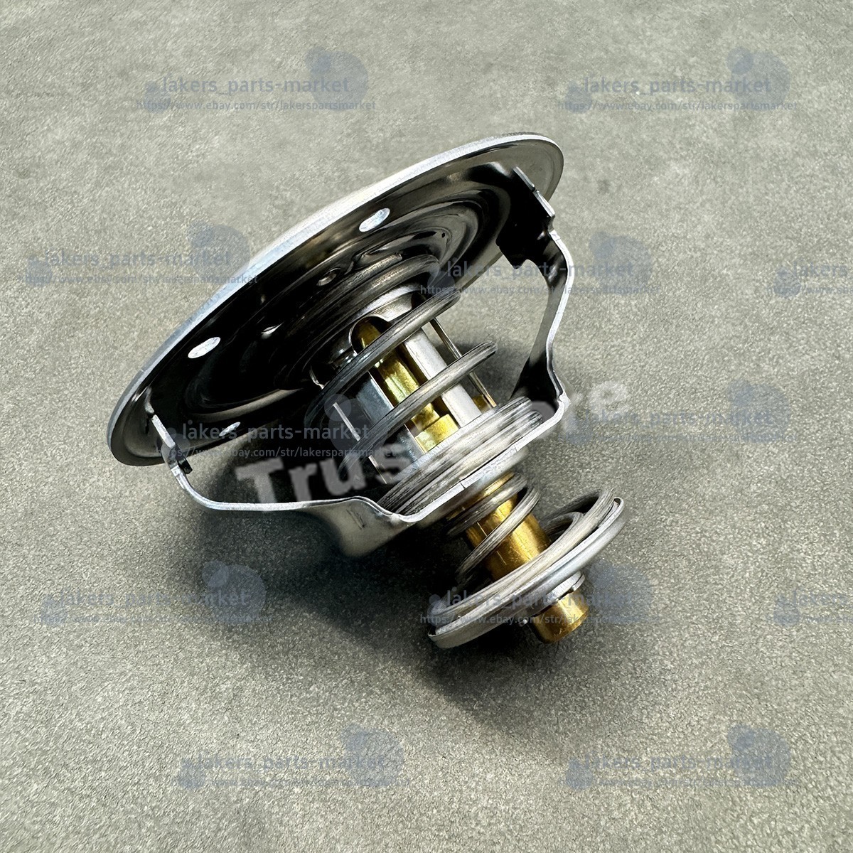 NEW 079198121 Coolant Thermostat for Audi R8 Lamborghini Gallardo Huracan 5.2