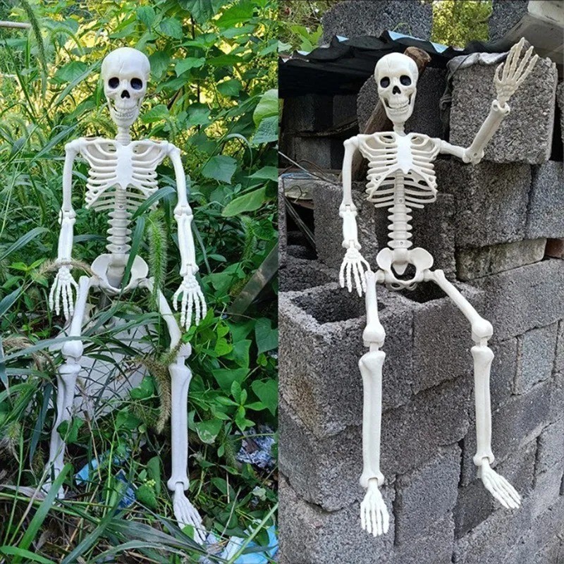 Halloween Human Skeleton Oversized Poseable Size Life Decoration Party Prop 40 Halloween Human Skeleton Oversized Poseable Size Life Decoration Party Prop 40