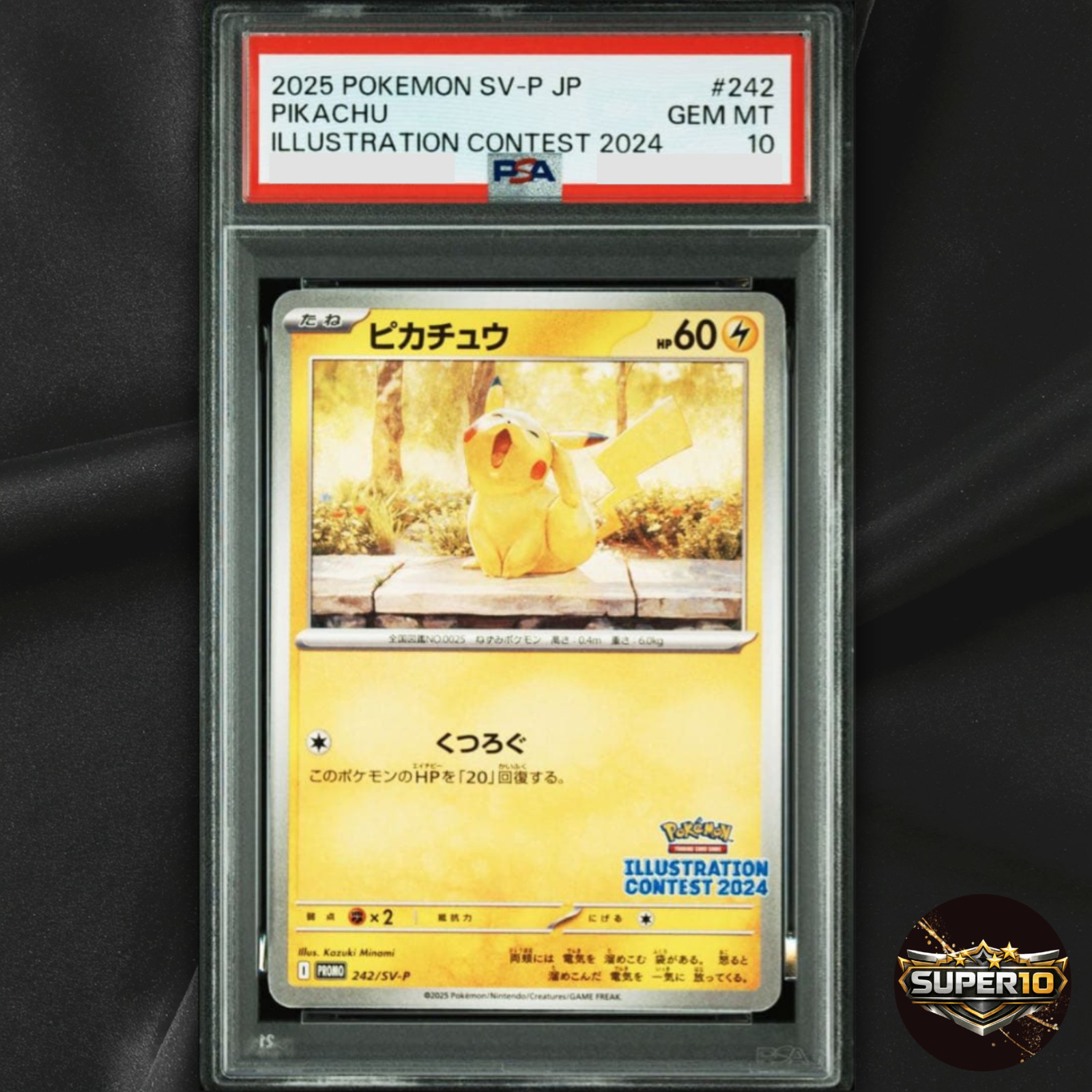 PSA 10 Pikachu 242/SV-P Pokemon Illustration Contest 2024 Promo Card Japanese