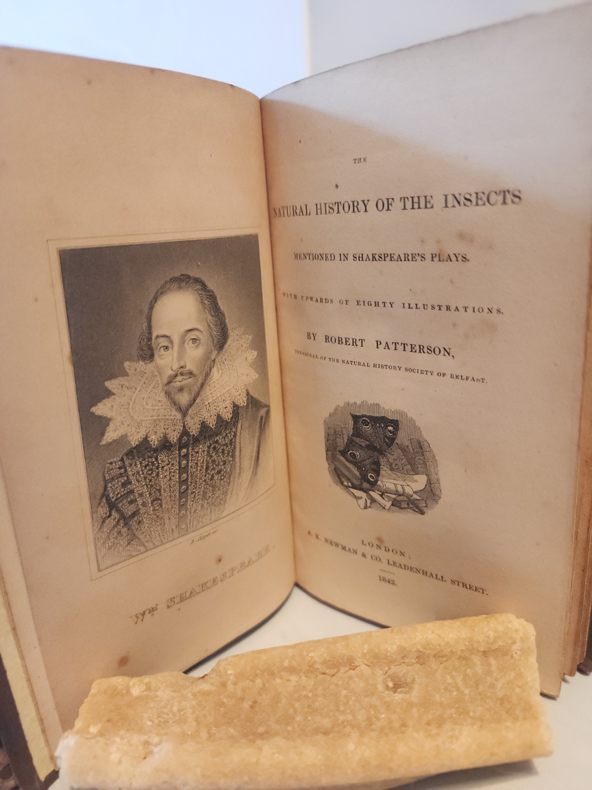 Insects mentioned in Shakespeare. 1842 Illustrated.