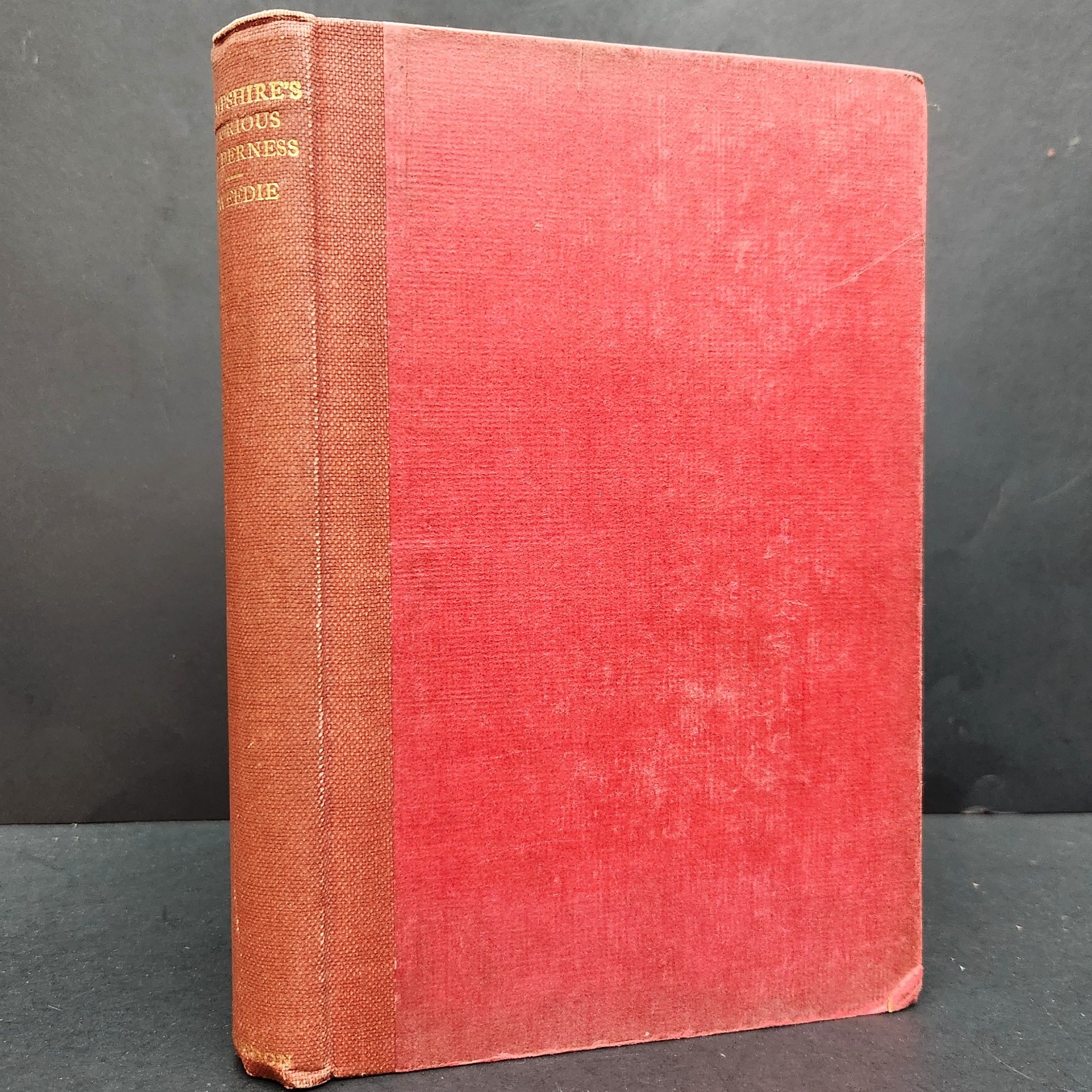 vintage 1925: Hampshire\'s Glorious Wilderness by George R. Tweedie w Folded MAP