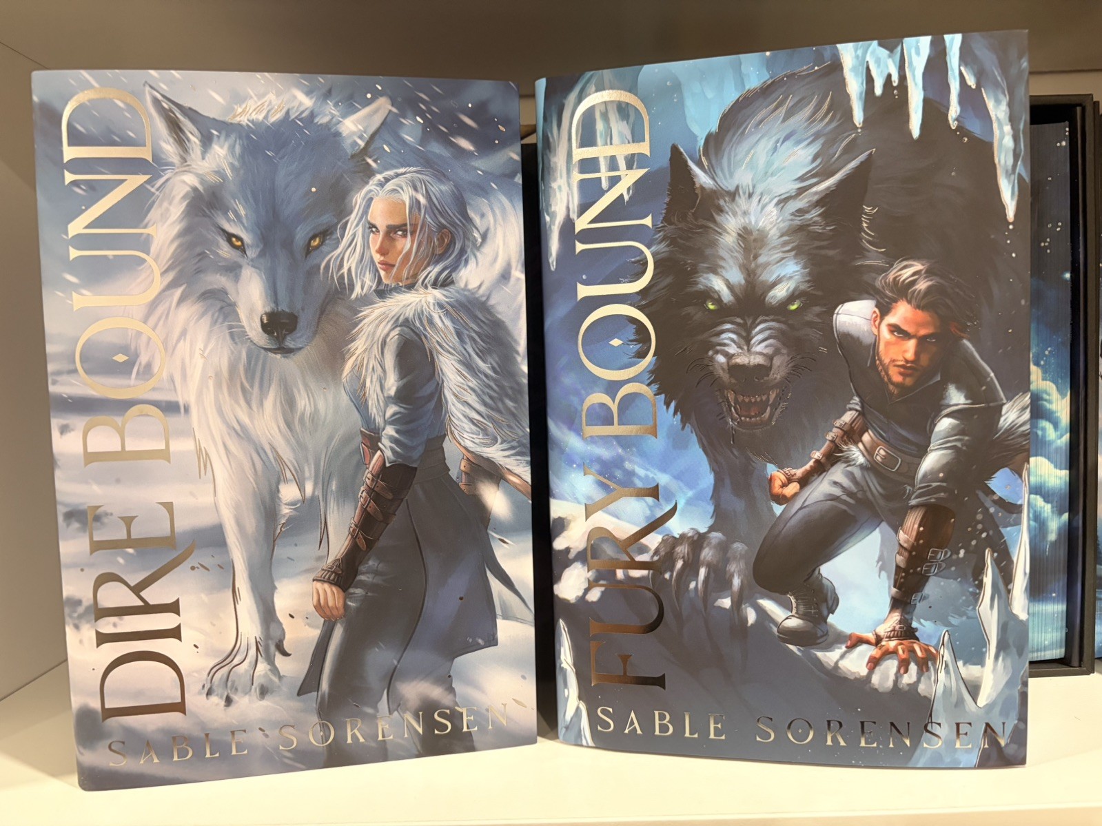 Fairyloot Exclusive Dire Bound Fury Bound Sable Sorensen 
