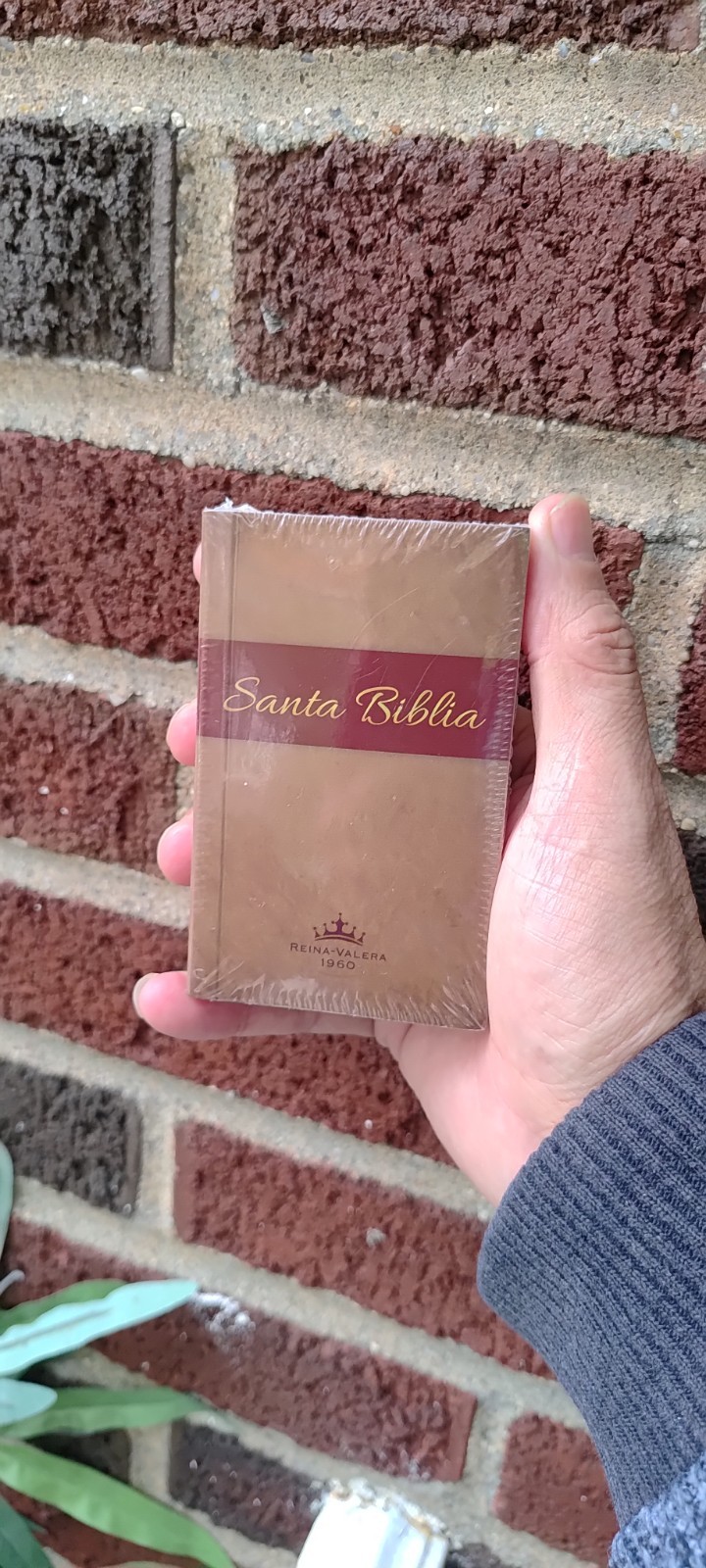 Santa Biblia Reina-Valera 1960 (Edición de Bolsillo) Pocket Bible Spanish(Mini) Santa Biblia Reina-Valera 1960 (Edición de Bolsillo) Pocket Bible Spanish(Mini)