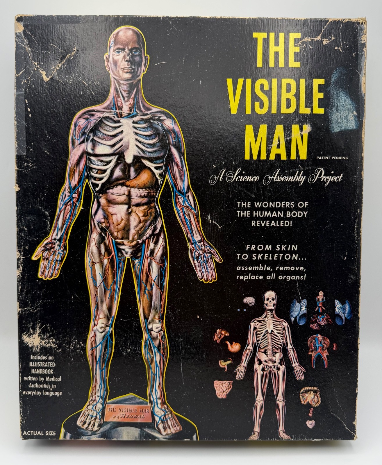Vintage 1959 Renwal The Visible Man COMPLETE with Original Box & Paperwork