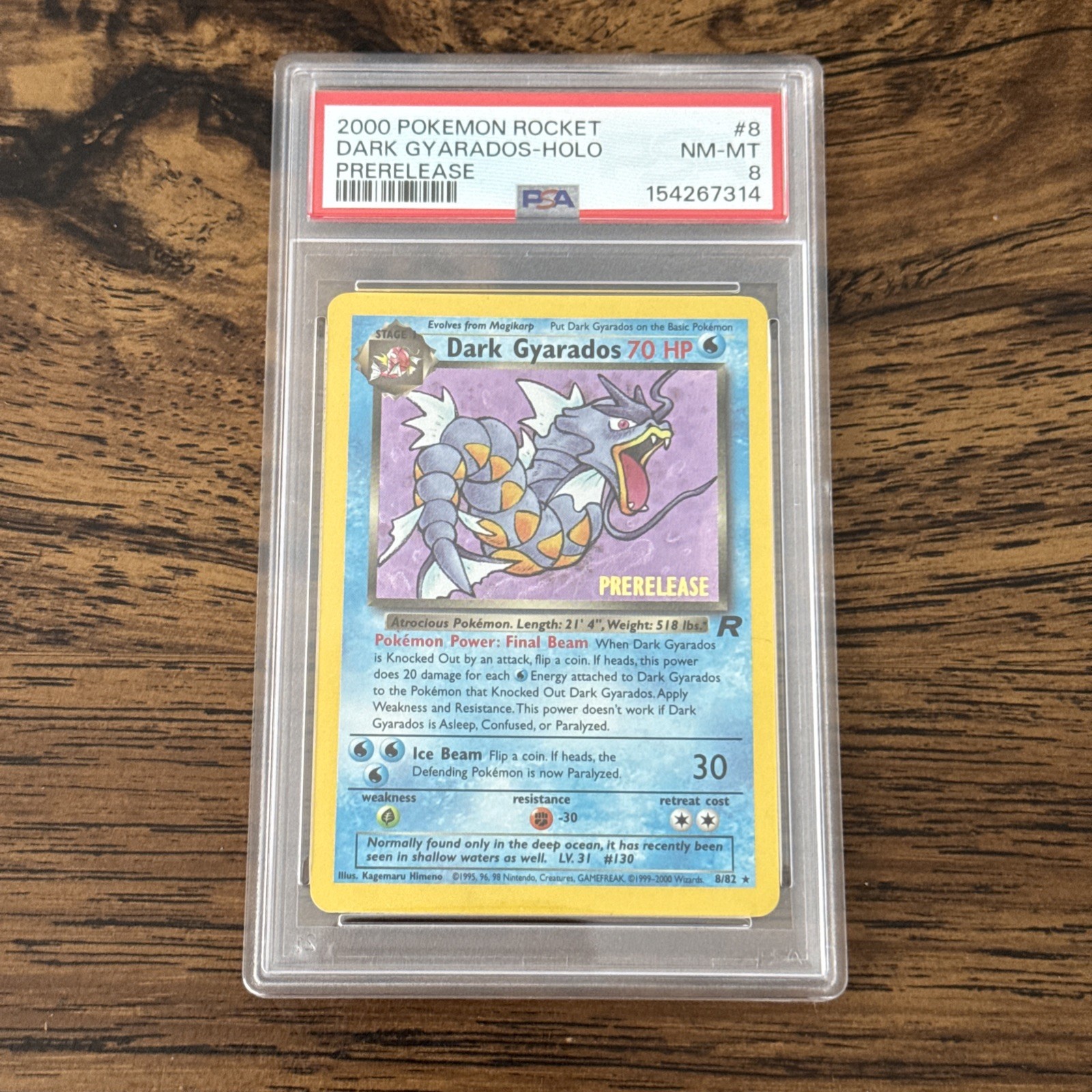 Dark Gyarados (Prerelease) 08/82 Wotc Promo Holo PSA 8 Dark Gyarados (Prerelease) 08/82 Wotc Promo Holo PSA 8