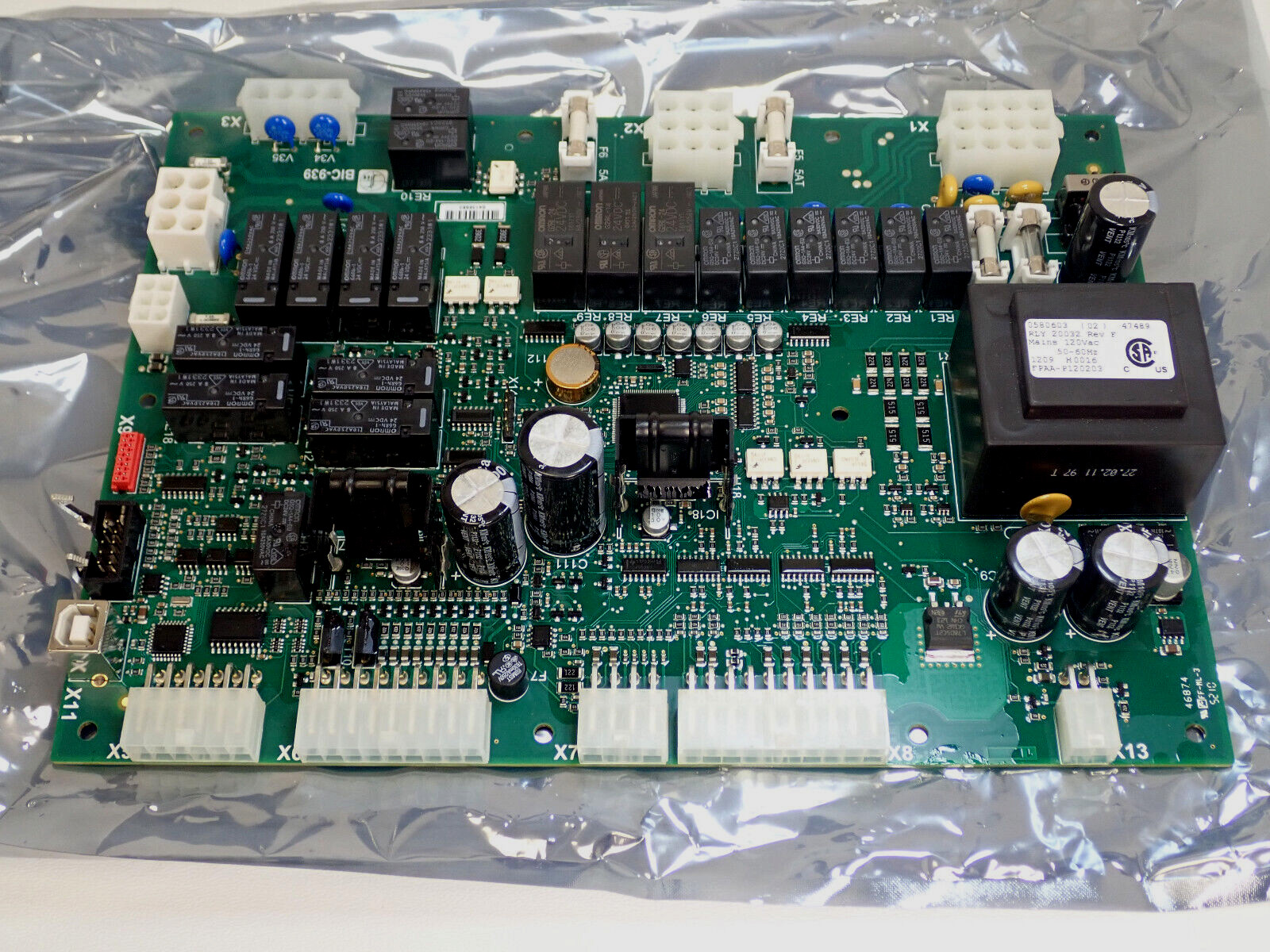 Lochinvar Main Control Board OEM RLY-20032 0580603 FPAA-P120203