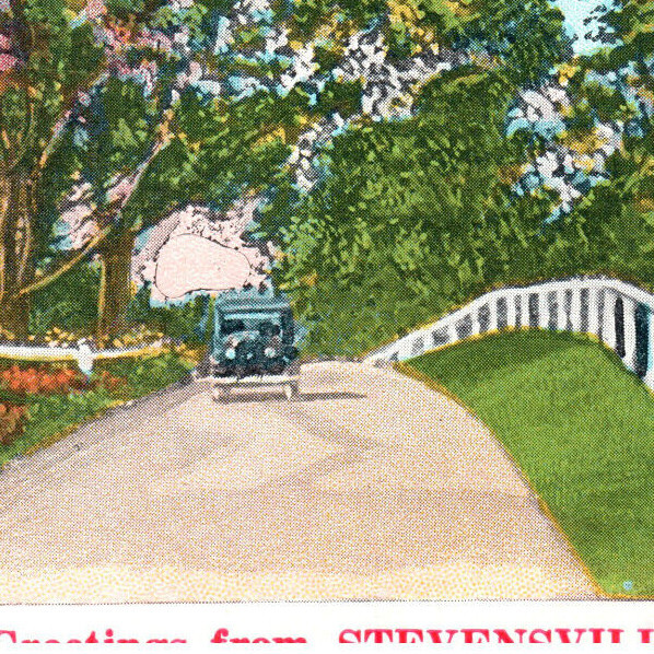 Vintage Postcard 1930 Stevensville Pennsylvania Vintage Auto Landscape Trees-A2 Vintage Postcard 1930 Stevensville Pennsylvania Vintage Auto Landscape Trees-A2