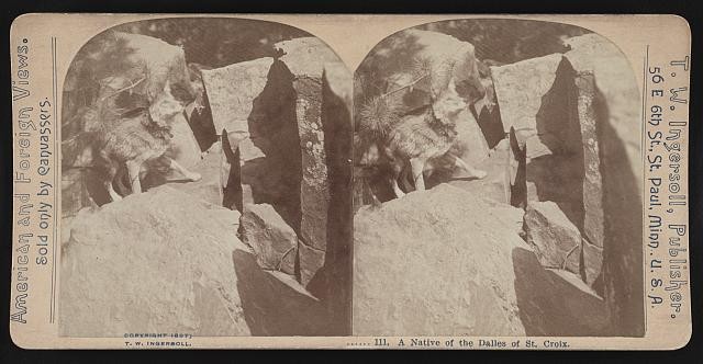 Photo:Dalles of St. Croix Native Stereoview 1900s T.W. Ingersoll