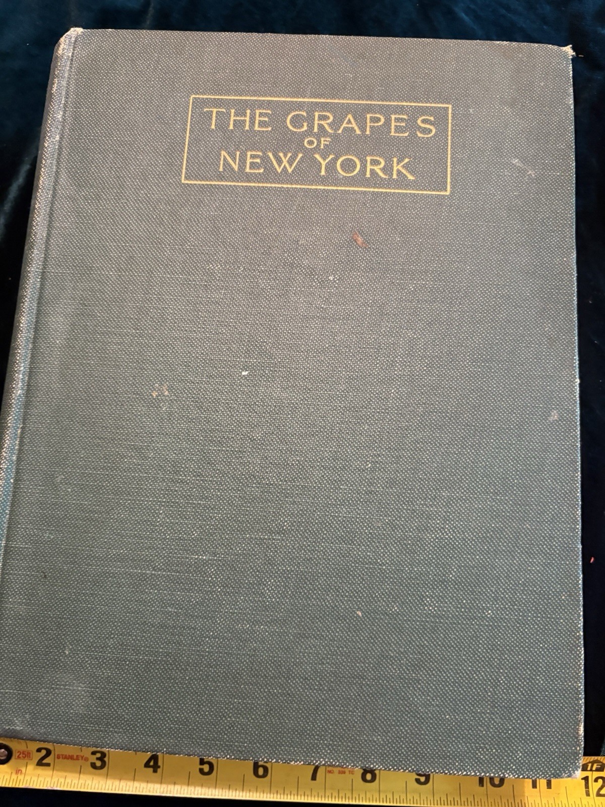 Vintage Book Grapes Of New York  1908  U P Hedrick