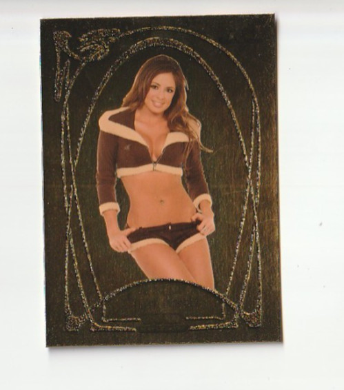 2007 Benchwarmer Gold Edition Tanea Brooks #11