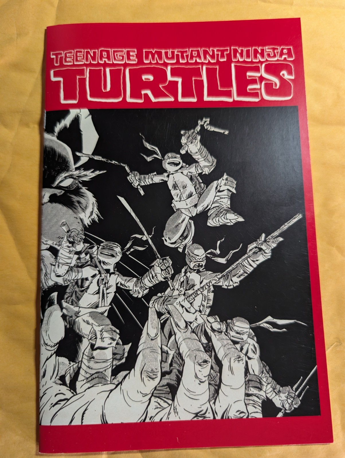 Teenage Mutant Ninja Turtles Turtle Con Exclusive Ciro Nieli Ashcan #2/40