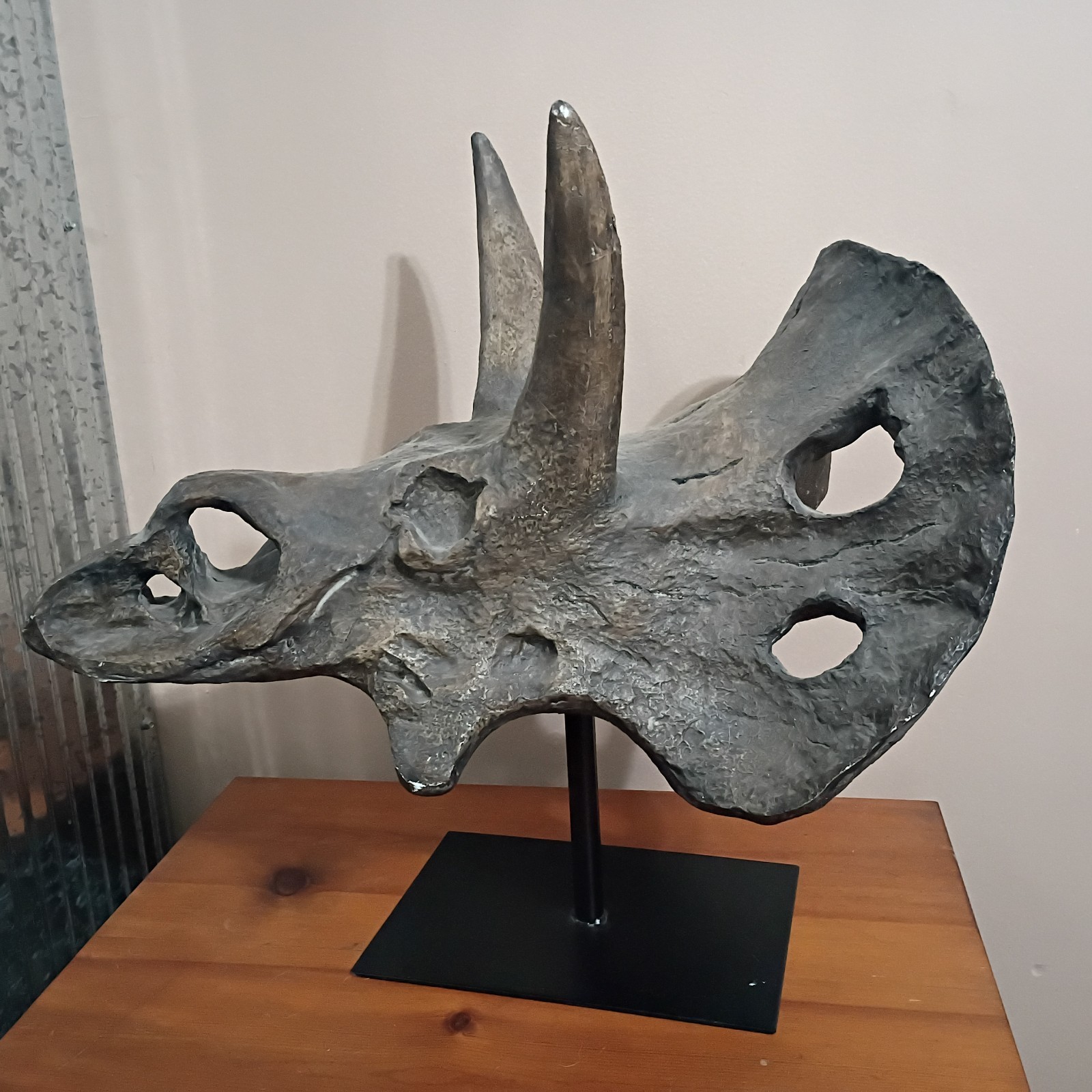 Large Triceratops Composit Skull Resin Molded
