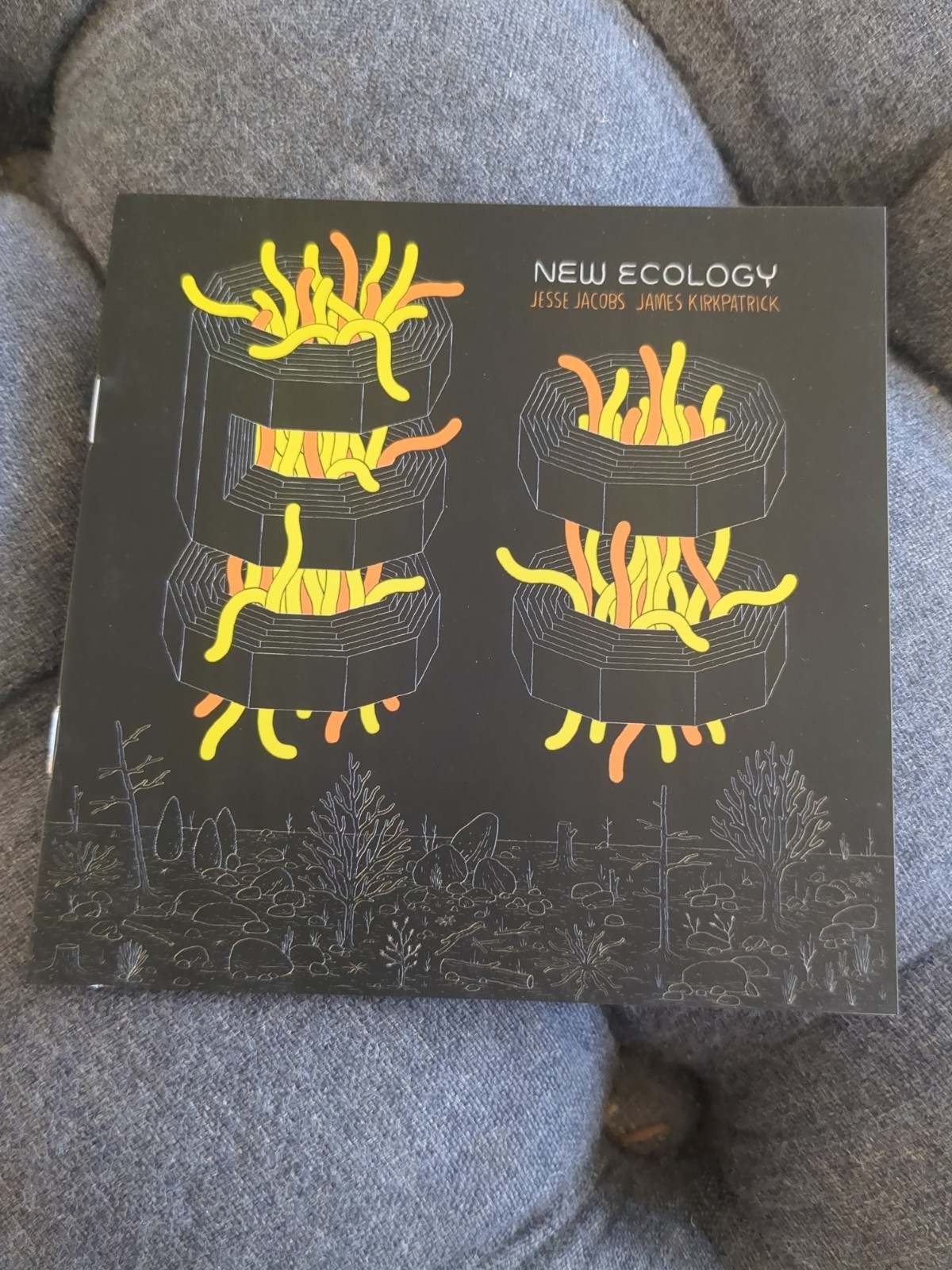 New Ecology by Jesse Jacobs Staplebound Mini Comic RARE HTF New Ecology by Jesse Jacobs Staplebound Mini Comic RARE HTF