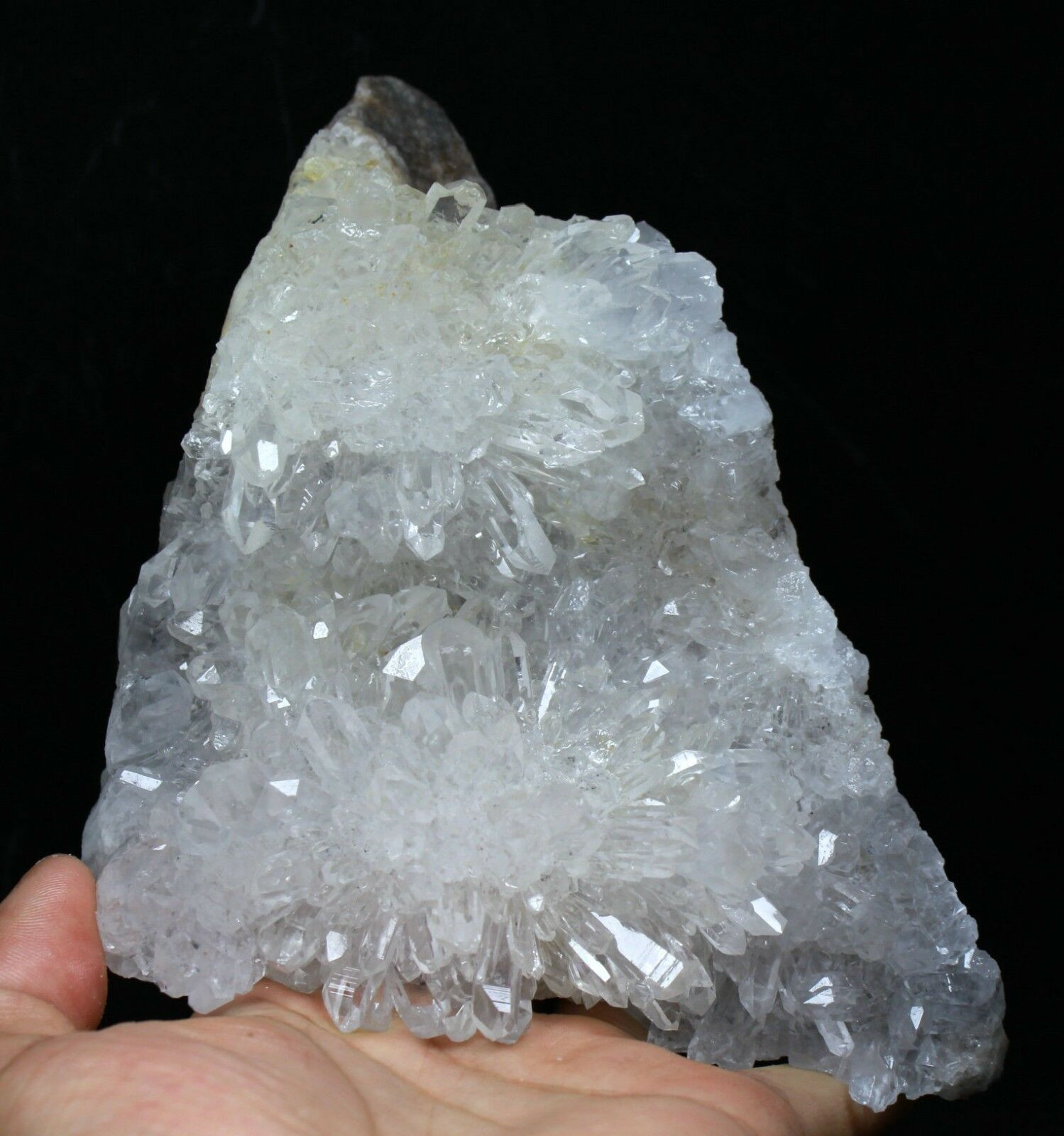 2.73lb Natural Beautiful White Chrysanthemum QUARTZ Crystal Cluster Specimen
