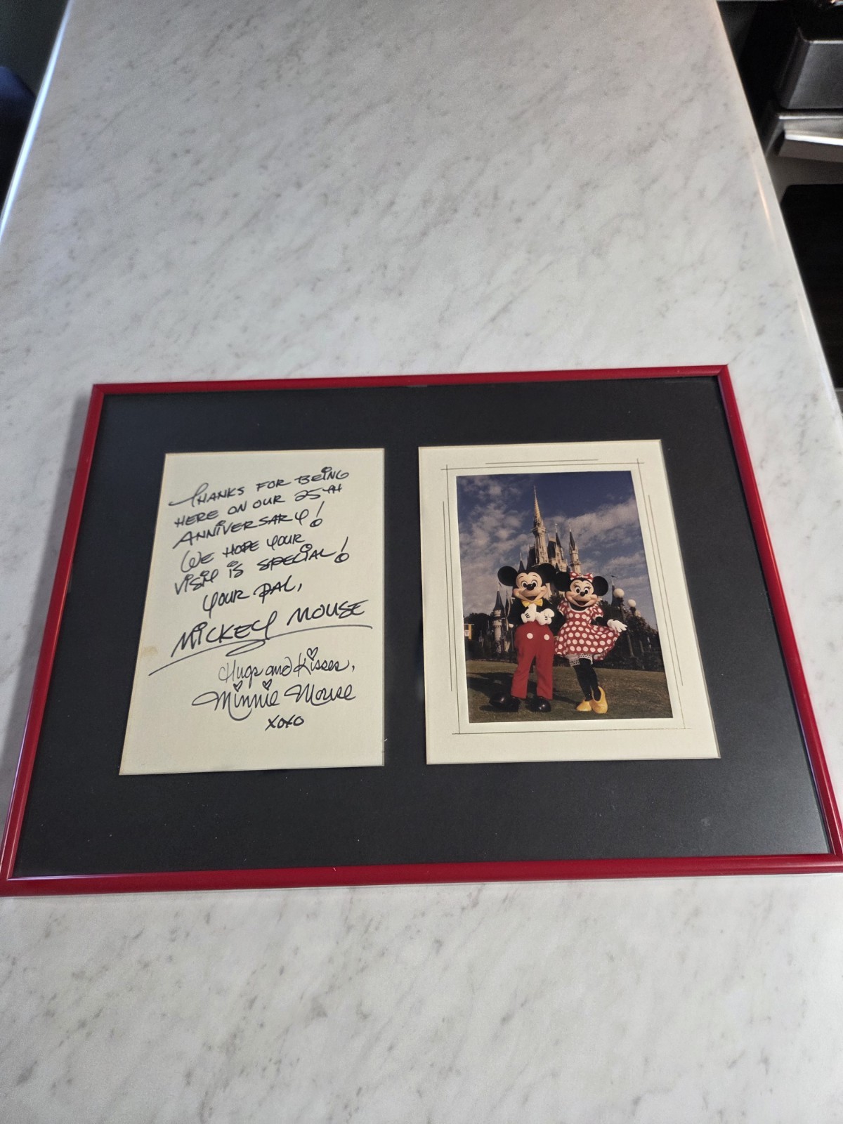 Vintage Disney Mickey And Minnie Mouse Autographed Framed Photograph