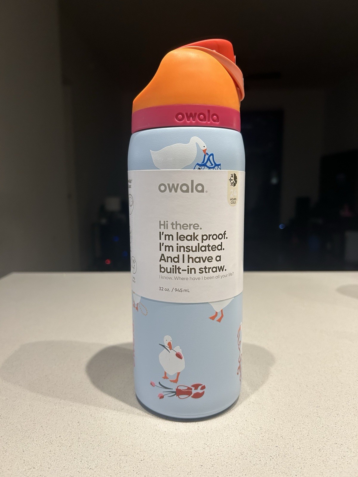 Owala FreeSip Urban Outfitters silly goose 32 oz  leakproof Water Bottle
