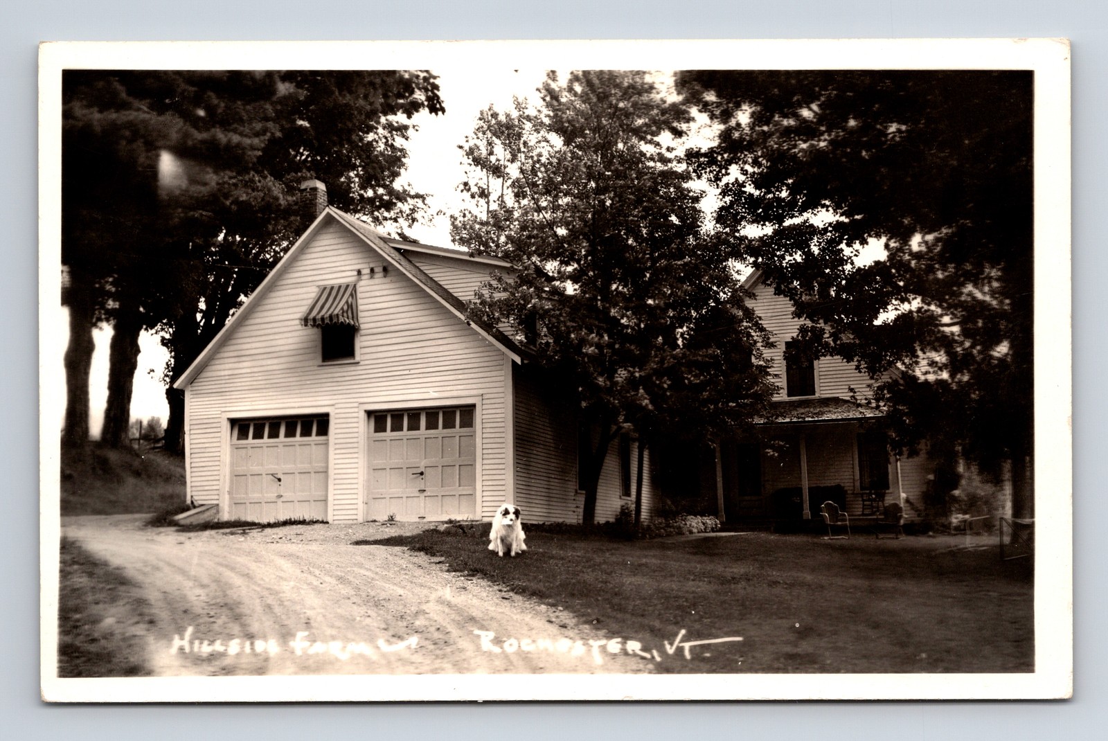 RPPC Big Dog at Hillside Farm House Rochester Vermont VT Real Photo Postcard