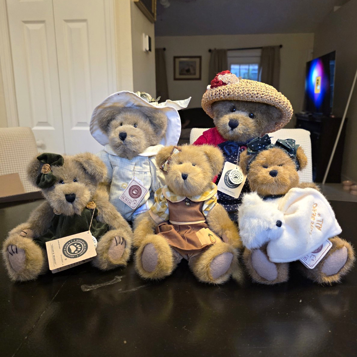 Boyds Bears lot of 5 Eleanor Bearsevelt NWT/Lady Flora Monarch/Camryn Pearsley