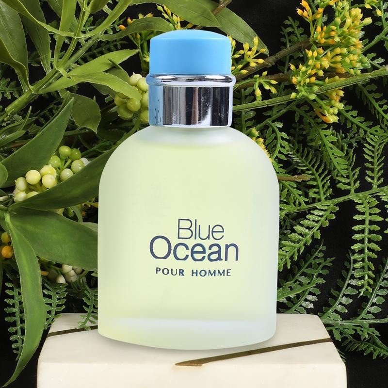 MCH Blue Ocean Pour Homme EDT 100ml Men’s Cologne Natural Spray Fresh Citrus MCH Blue Ocean Pour Homme EDT 100ml Men’s Cologne Natural Spray Fresh Citrus