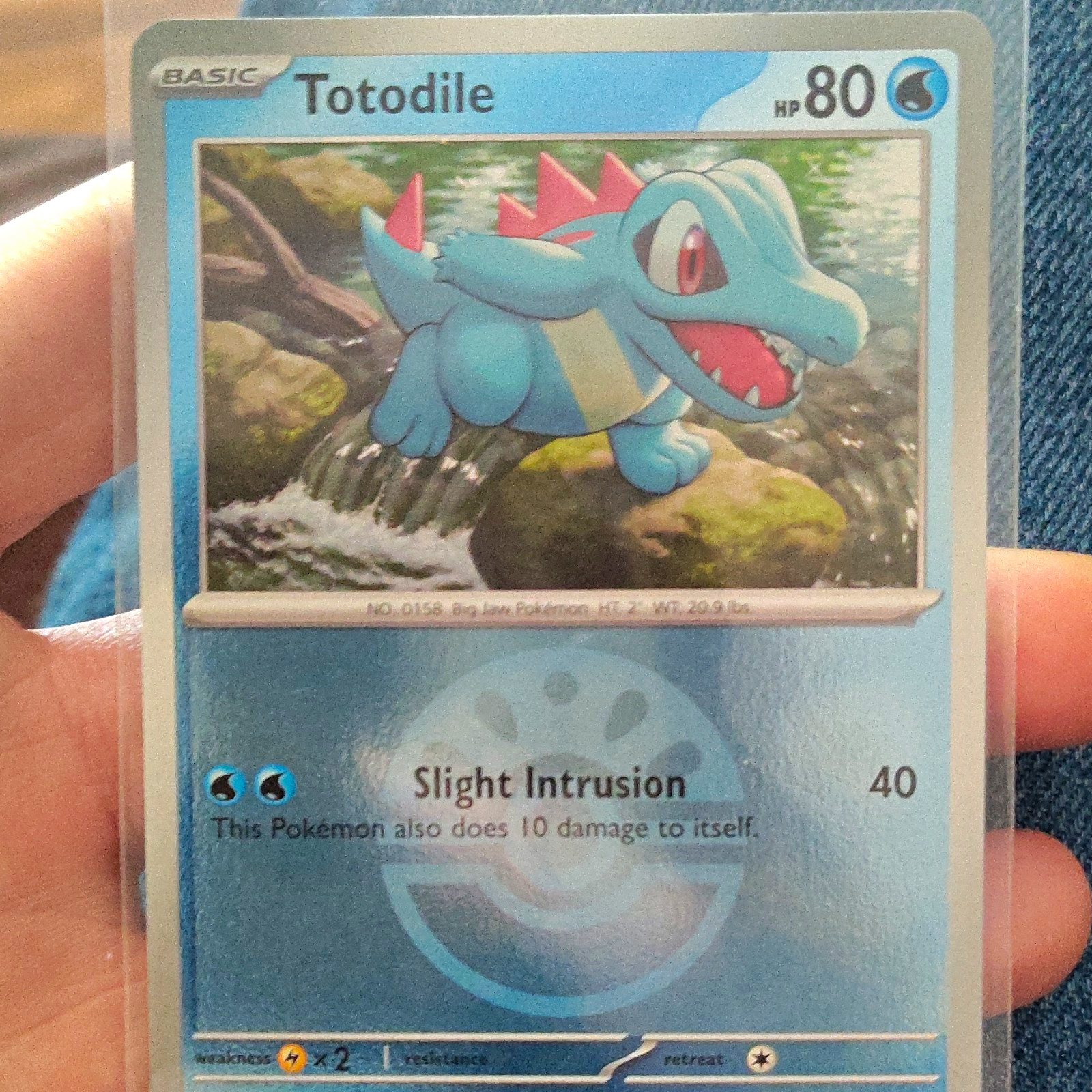 Totodile Basic Water Pokemon Card TCG HP80 English Standard Size