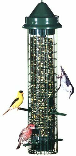 Squirrel Buster Classic Tube Bird Feeder with 4 Feeding Ports, Green Squirrel Buster Classic Tube Bird Feeder with 4 Feeding Ports, Green