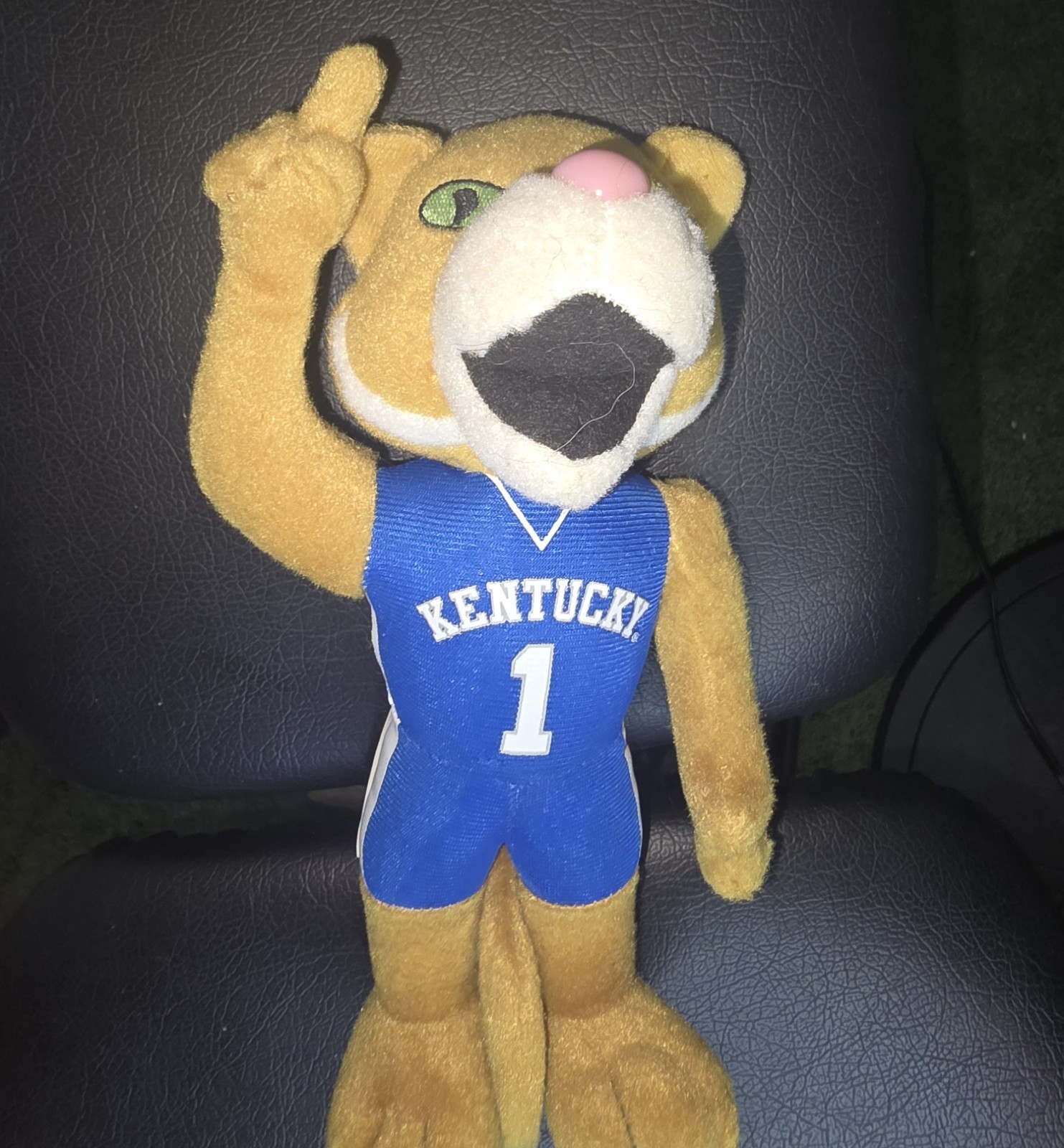 Kentucky Wildcats Mascot Plush