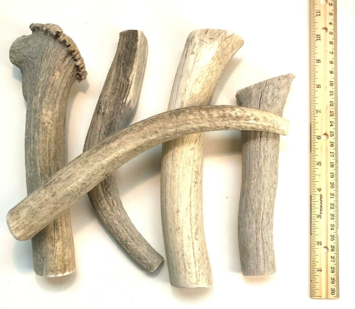 BEST VALUE 2 POUNDS of Seasoned Deer & Elk- Whole Antler Dog Chews - Jumbo & XL
