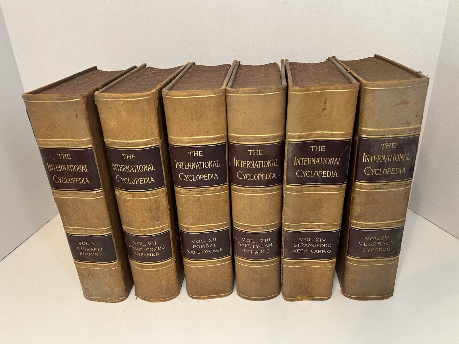 Rare 1890s The International Cyclopedia Leather Bound Books Set Of 6