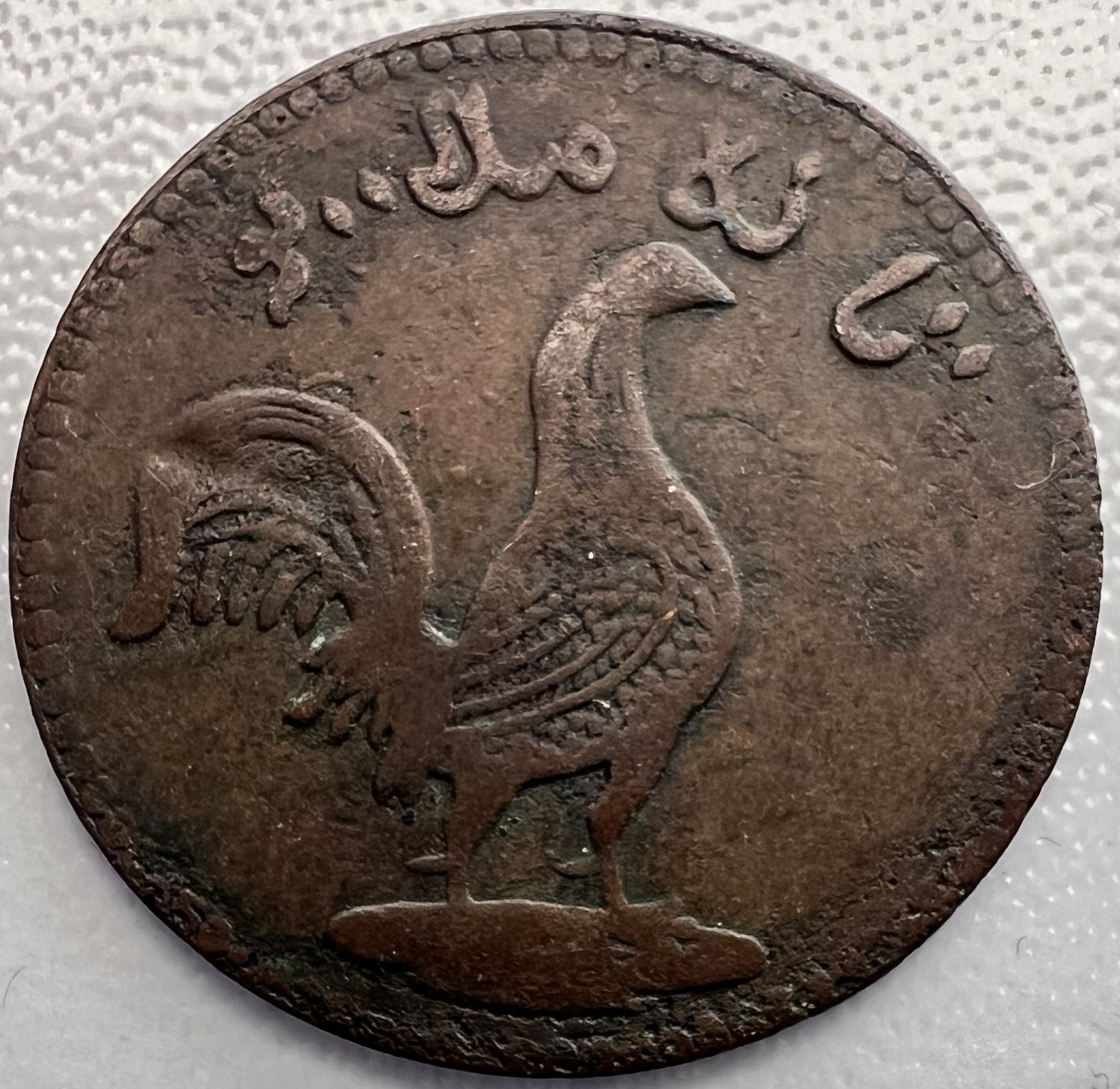 Islamic Coin – Ancient Copper Fals (1559–1560) – Peacock Design – Rare