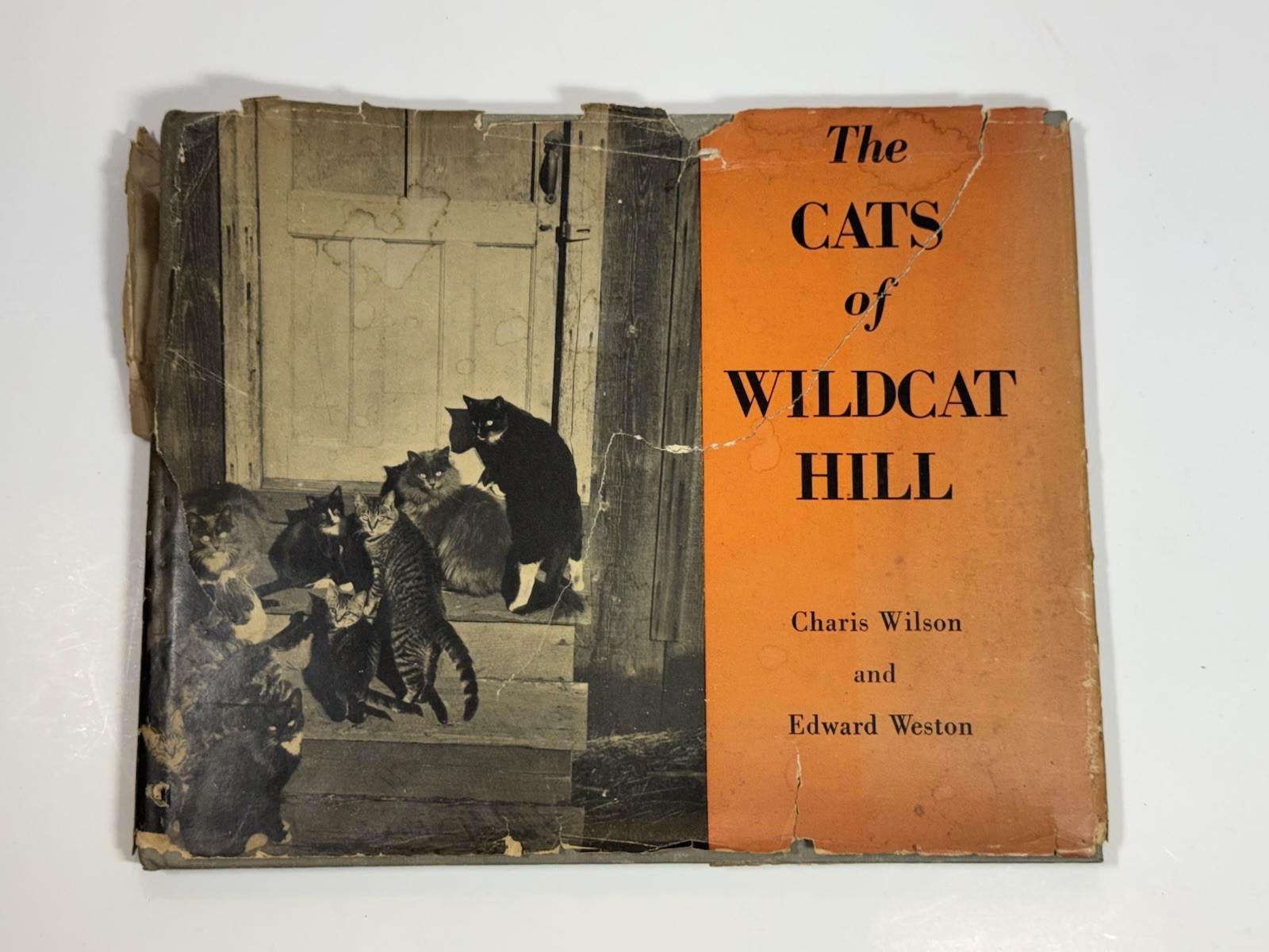 The Cats of Wildcat Hill by Edward Weston 1947 Hardcover Book 1st Edition