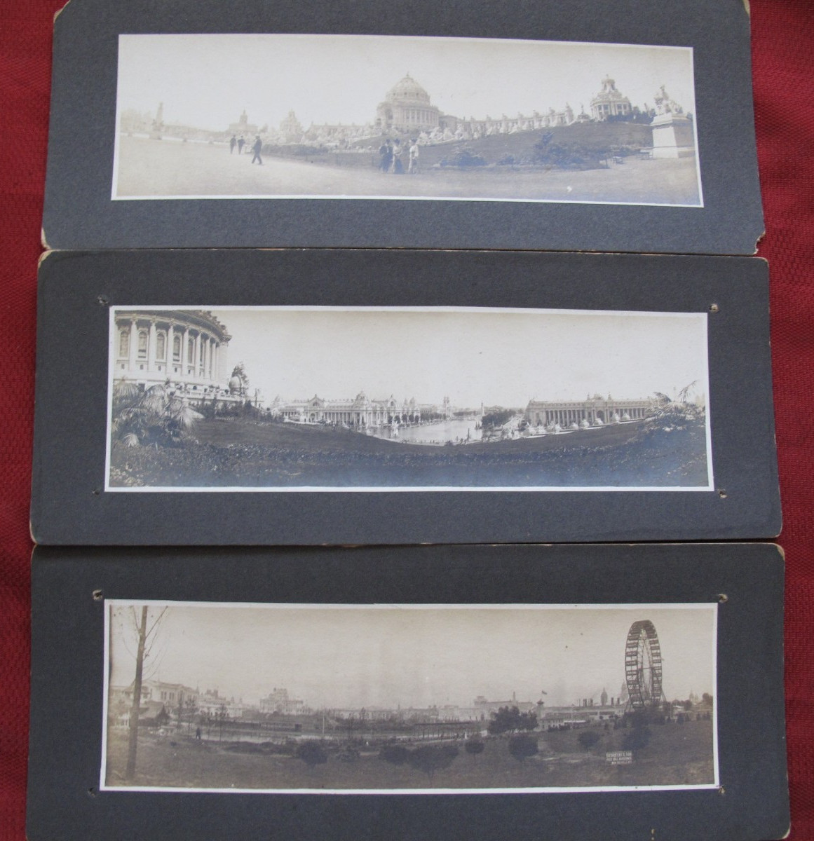 1904 St Louis World's Fair Exposition PANORAMIC Type 1 Photos Louisiana Purchase